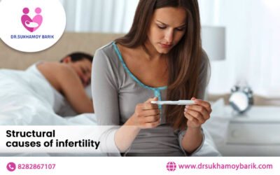 Structural causes of infertility in women
