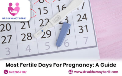 Most Fertile Days For Pregnancy: A Guide