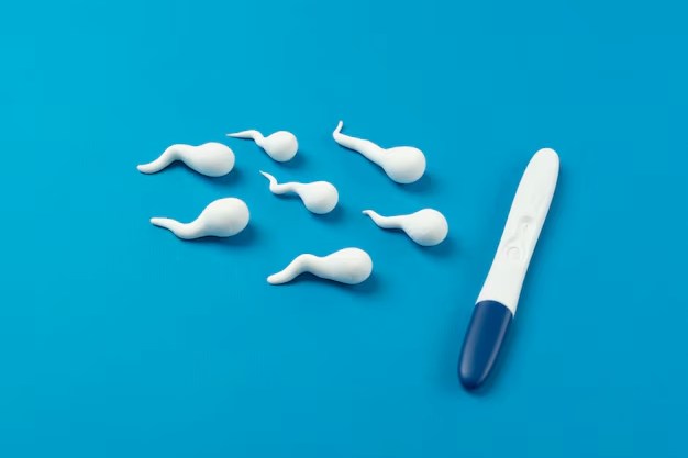 sperm-delivery-img